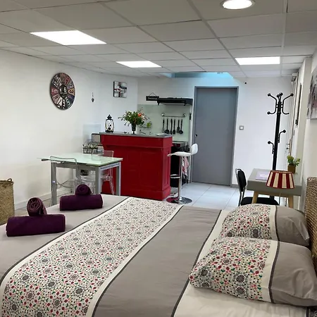 Studio Du Pastel Aparthotel Quint-Fonsegrives